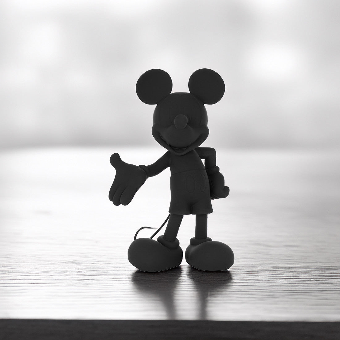 MICKEY WELCOME
