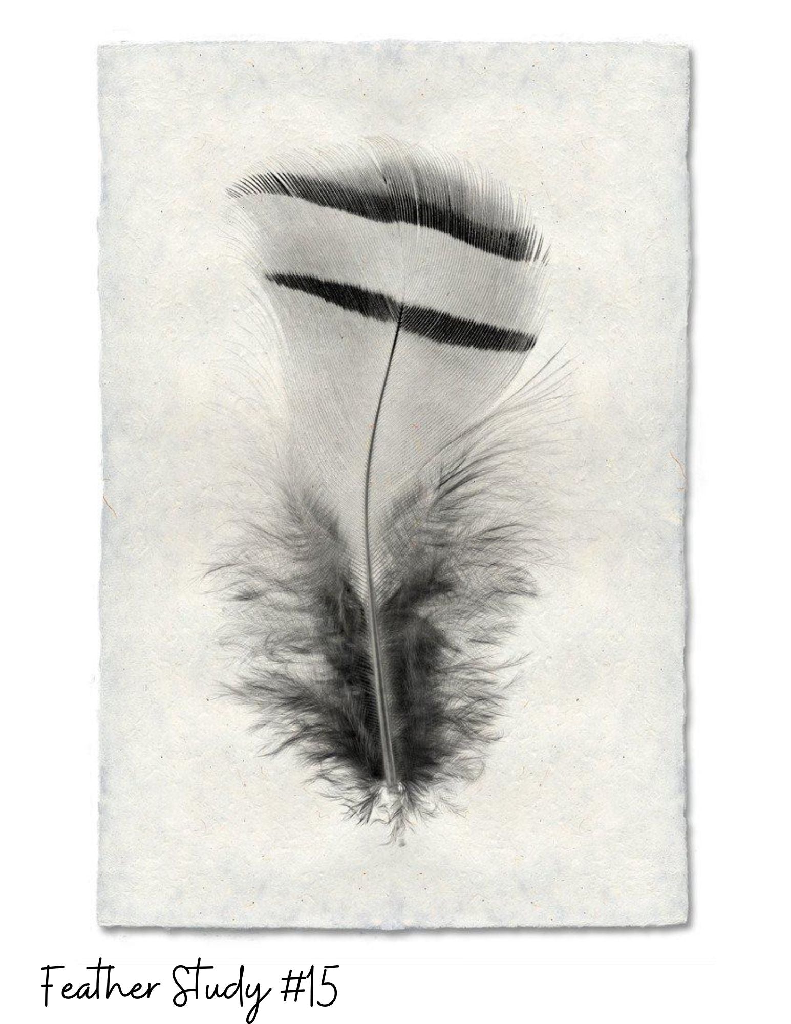 Sérigraphies - Barloga