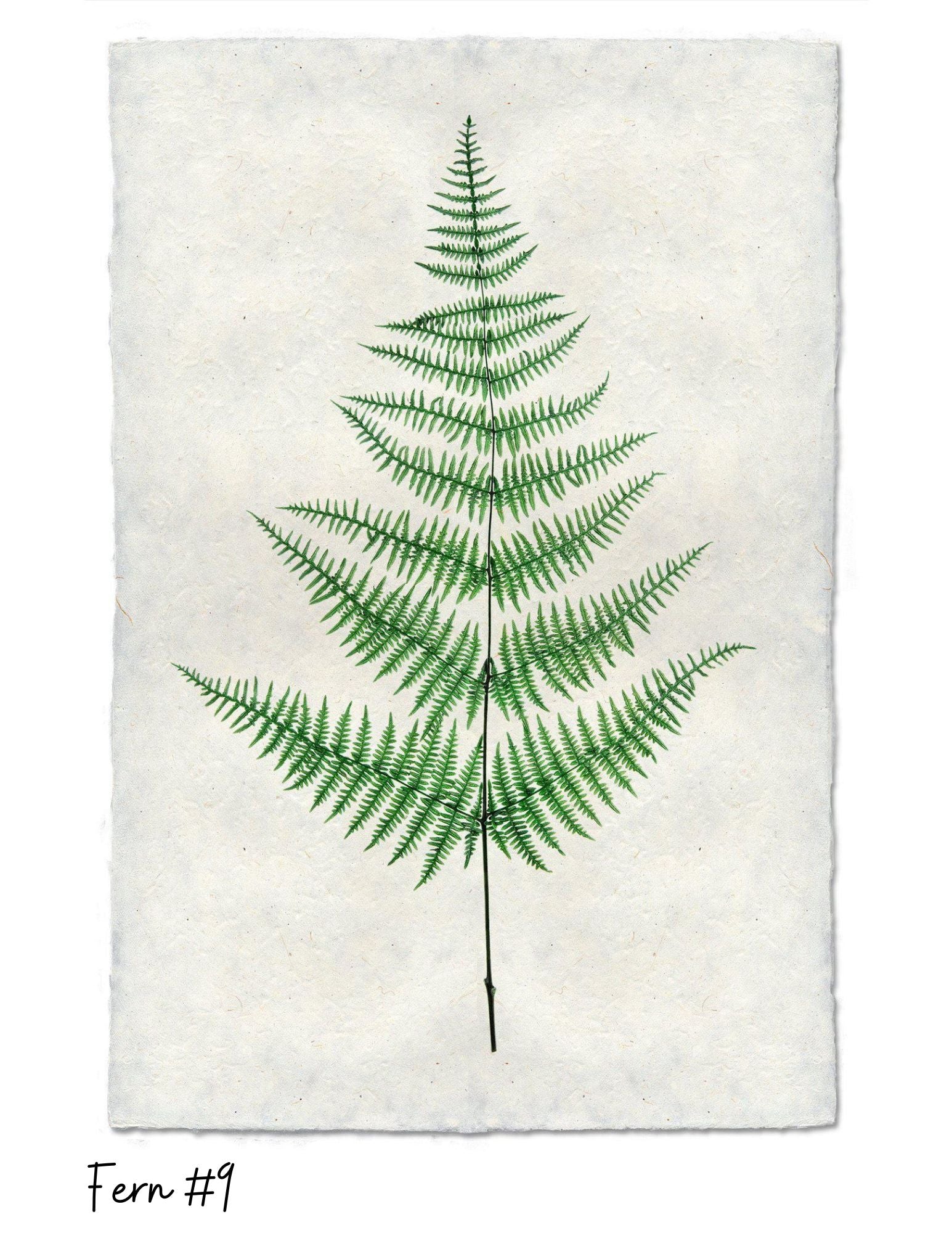 Sérigraphies - Barloga