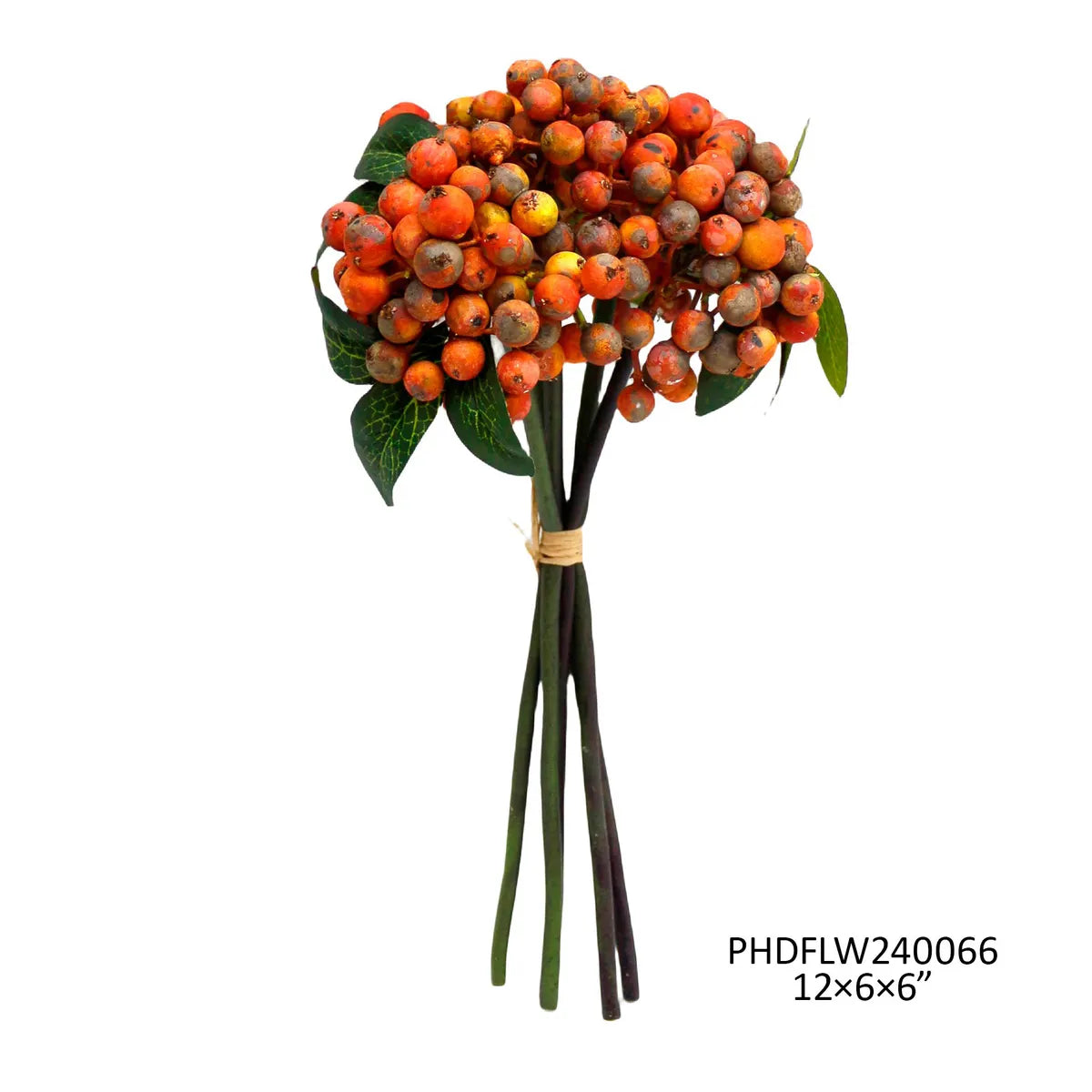 Branche de baies orange