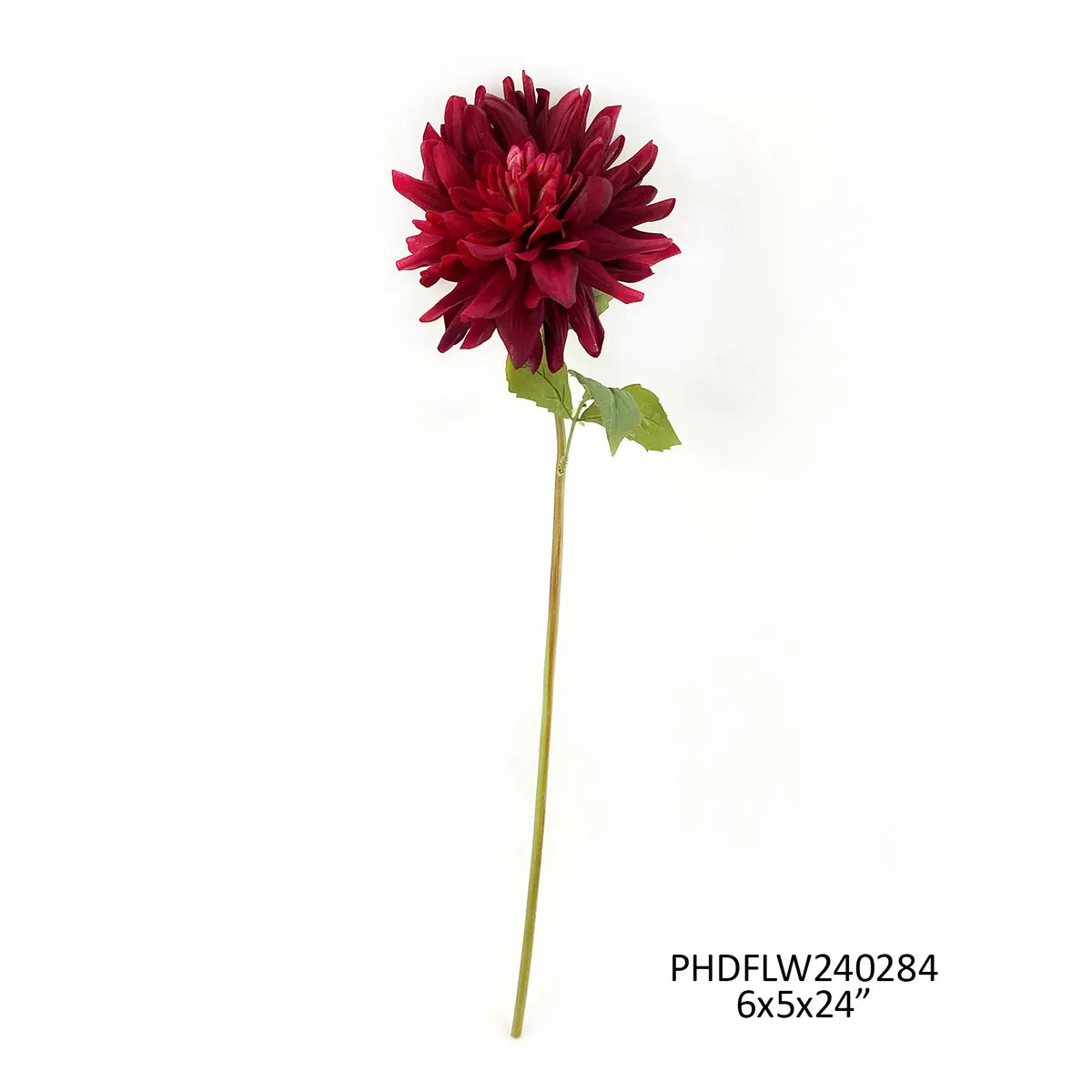 Tige Dahlia merlot