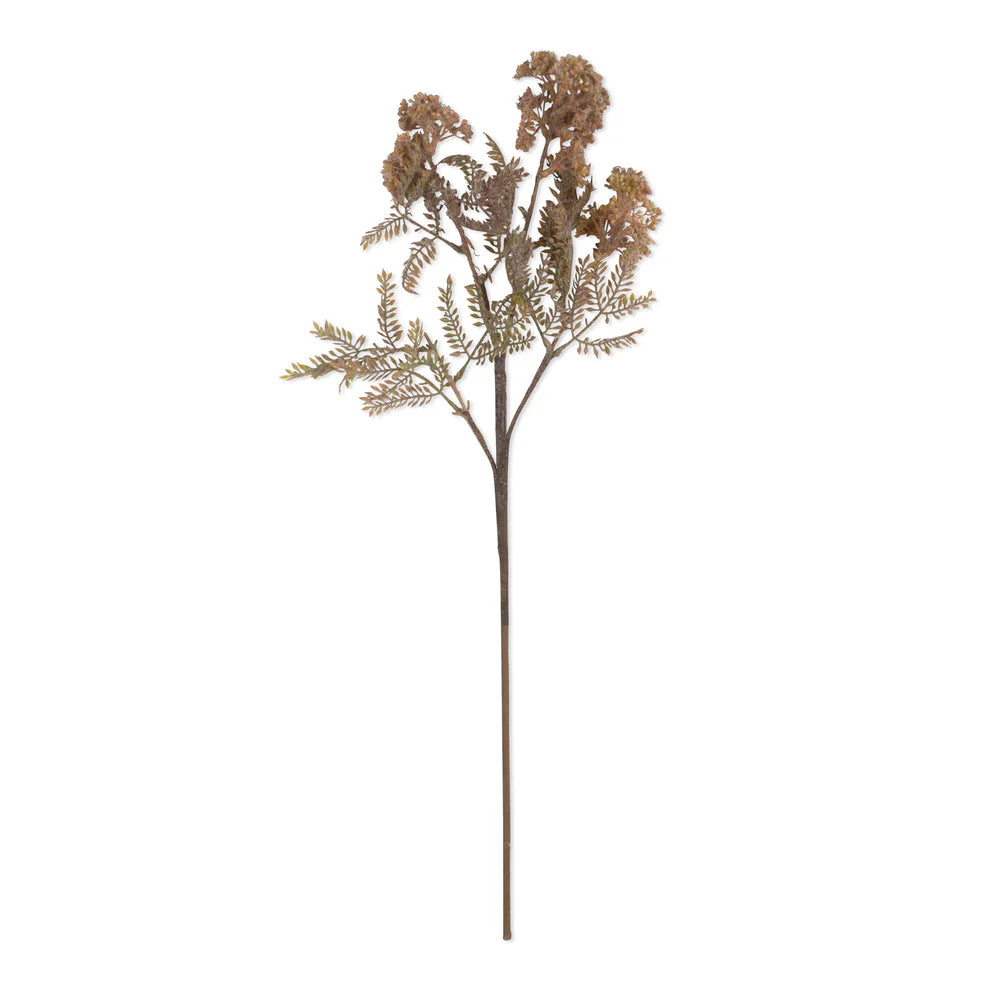 Fleur Ciguë
