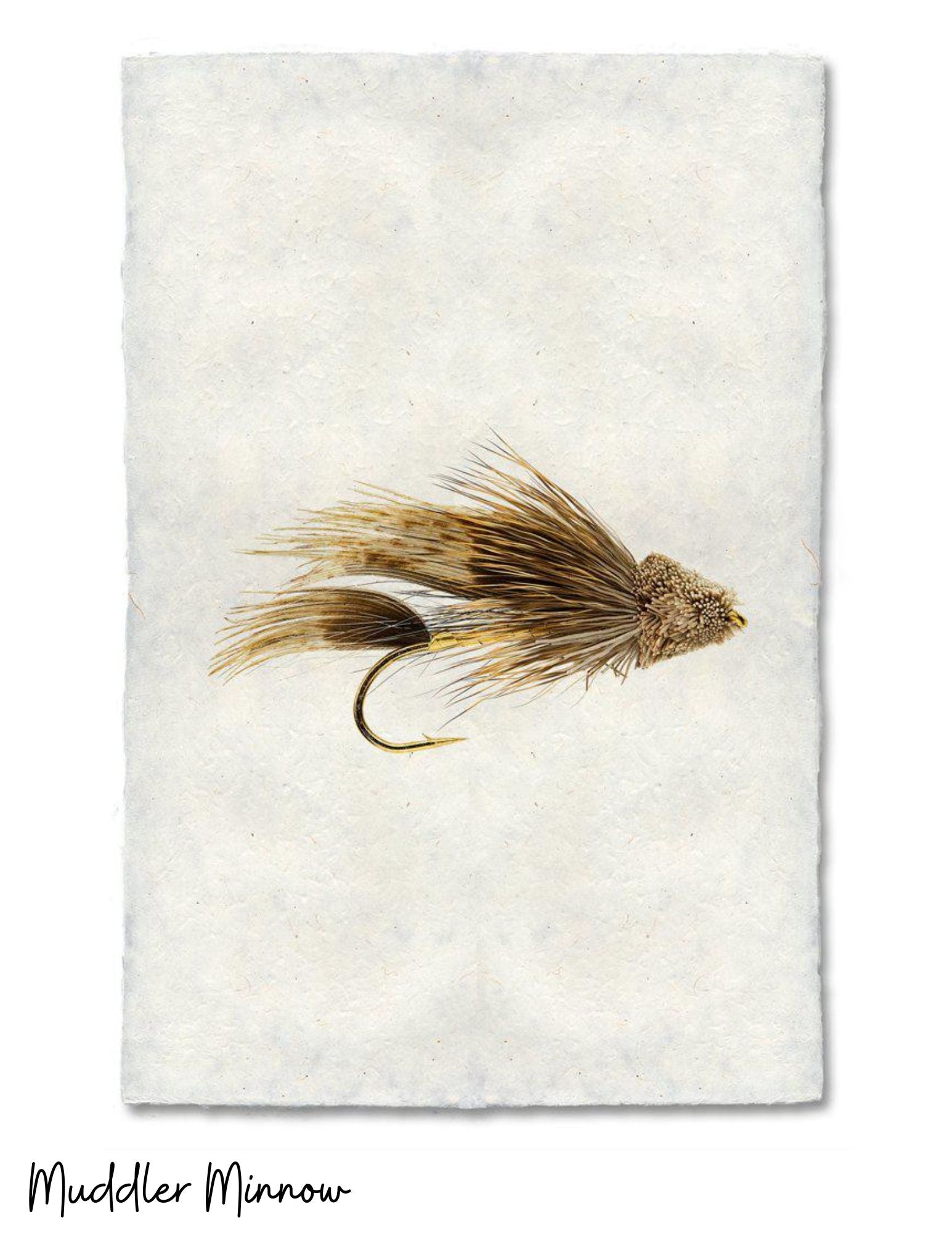 Sérigraphies - Barloga