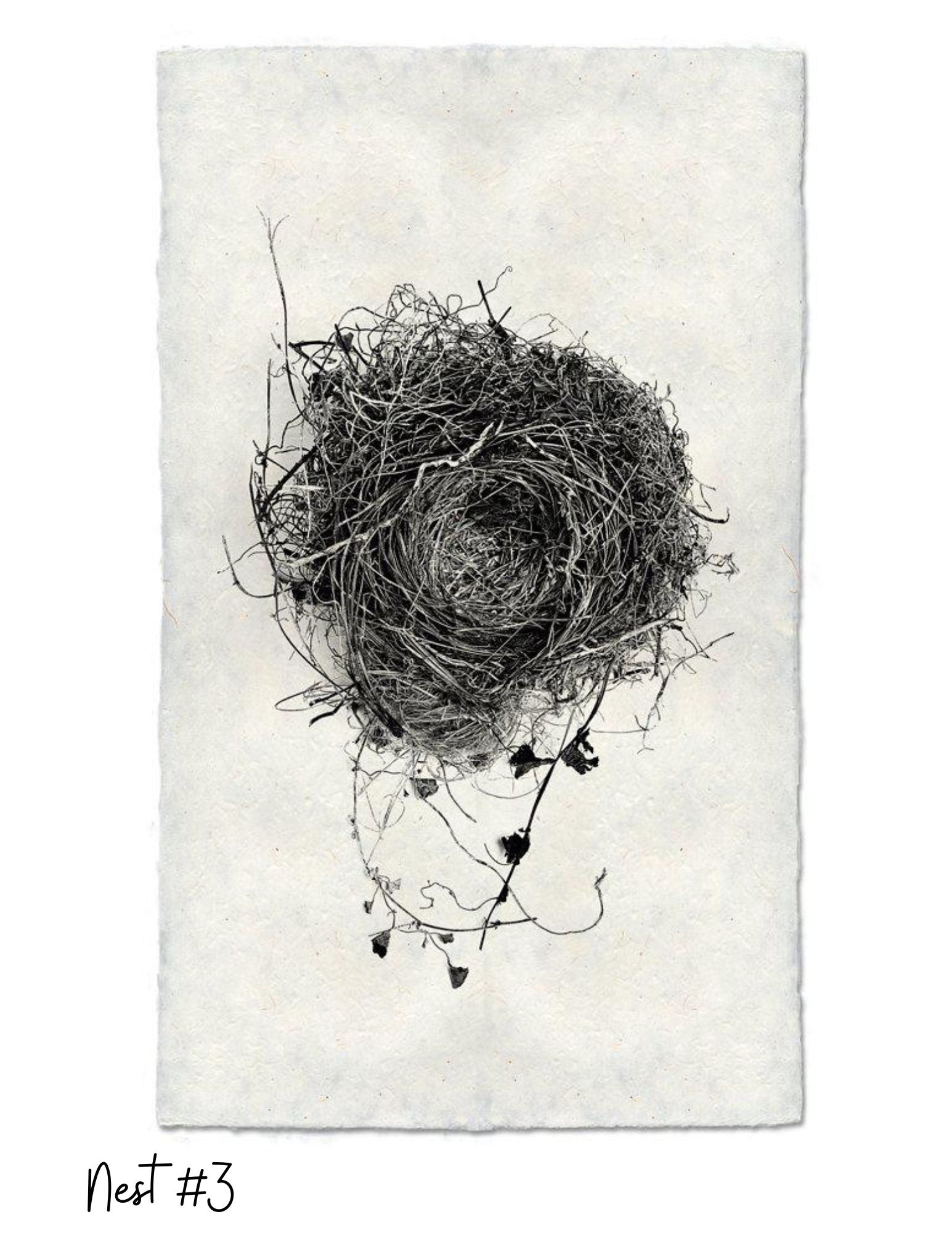Sérigraphies Barloga 9" x 14"
