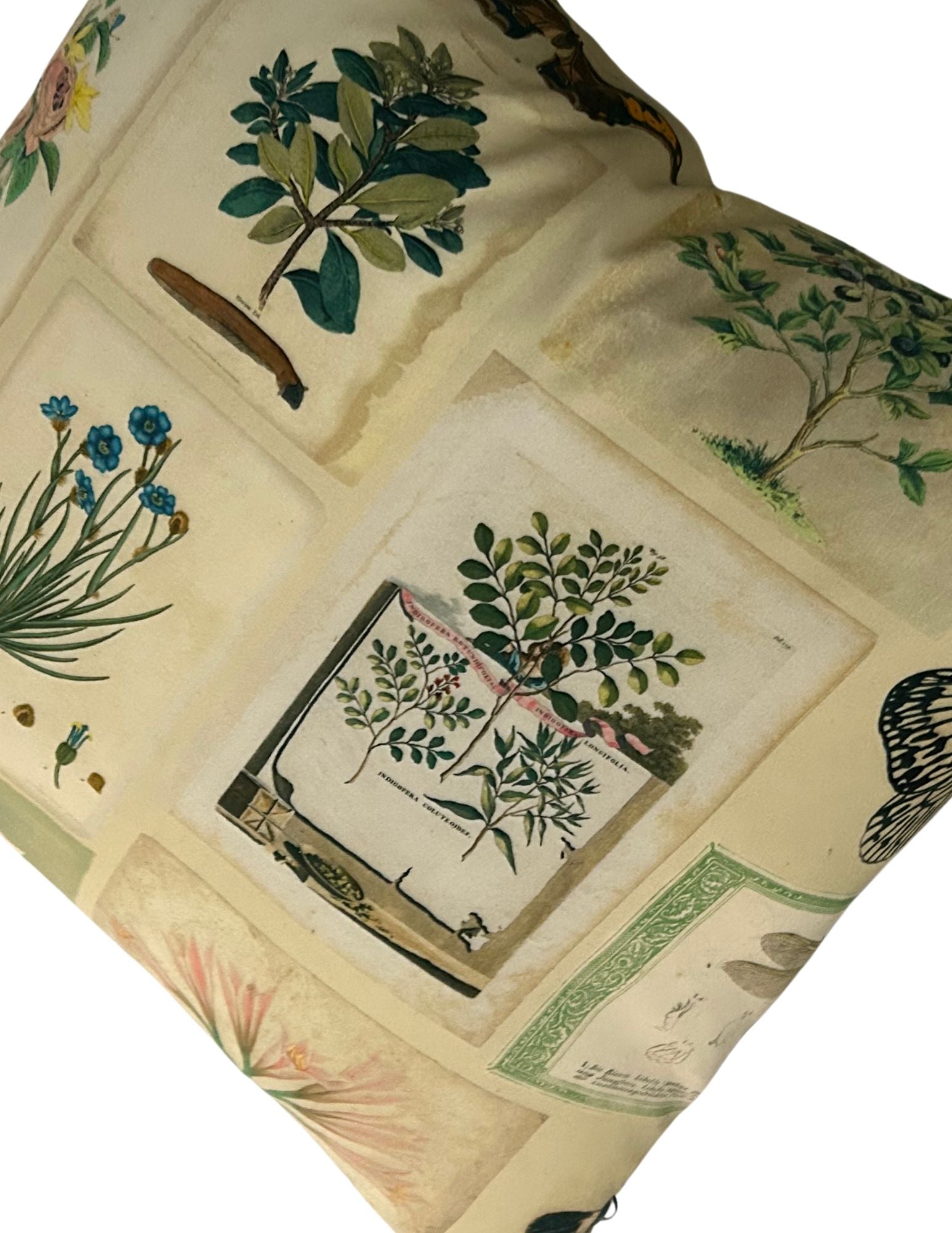 Coussin Designer Guild - Frame