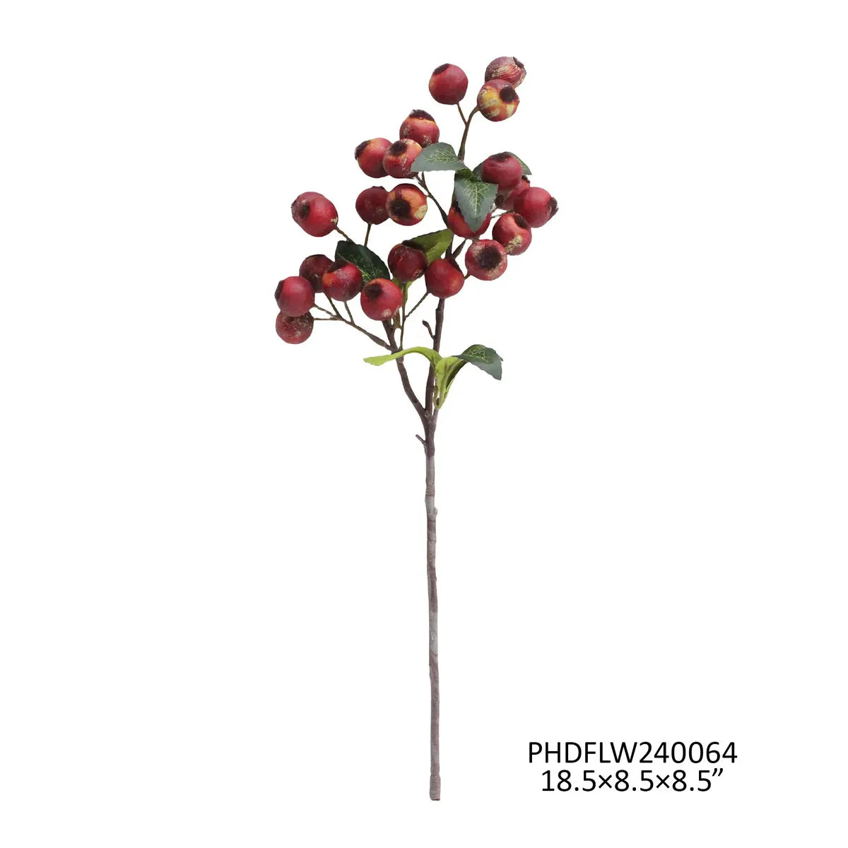 Branche de Pommetier rouge