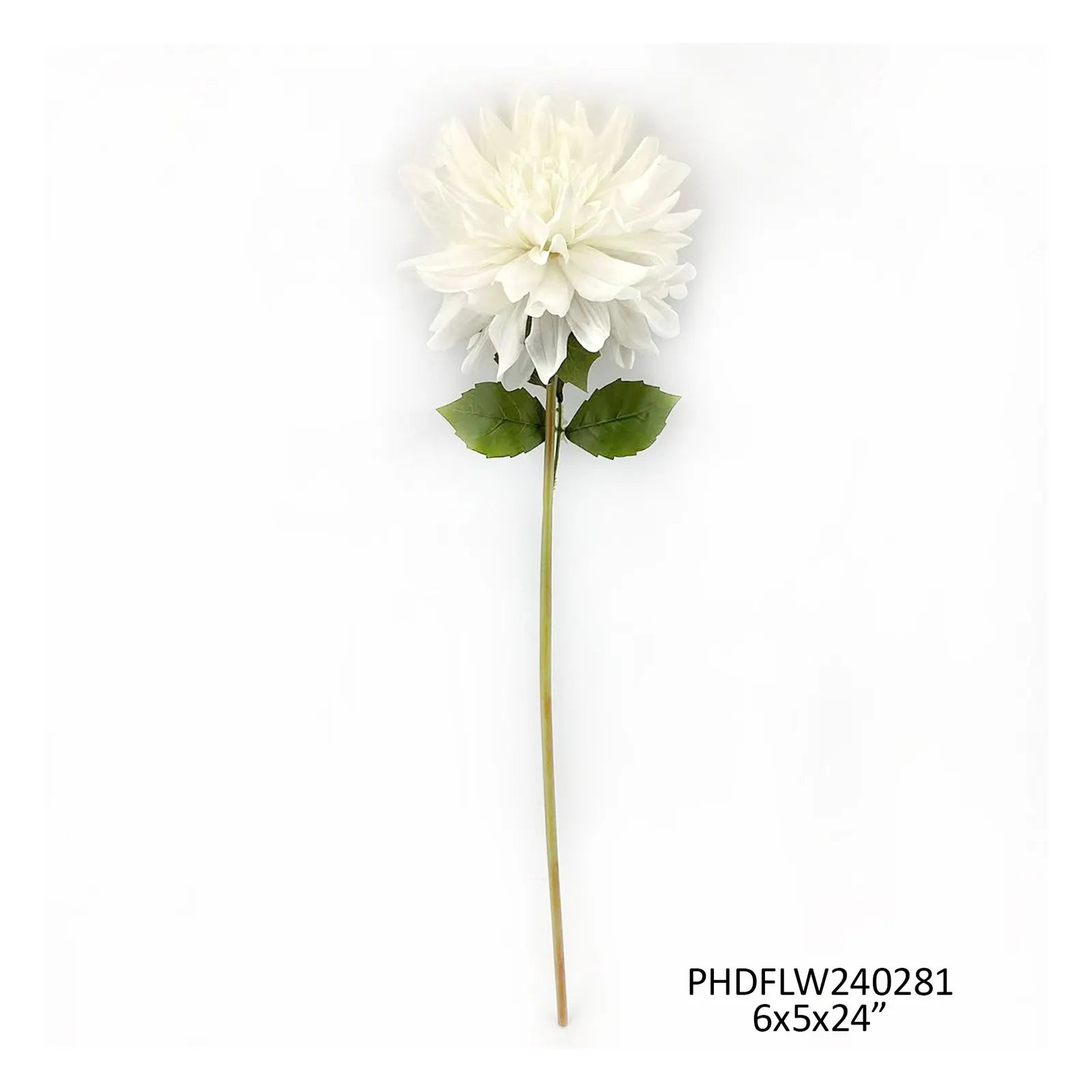 Tige Dahlia blanche