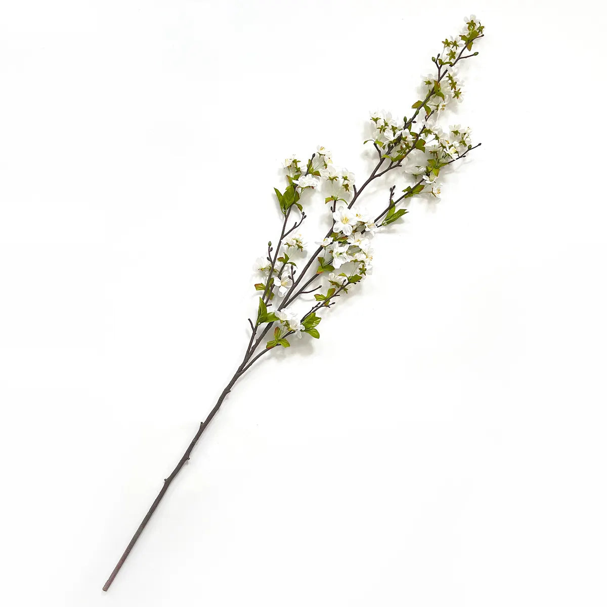 Branche cherry blossom blanche