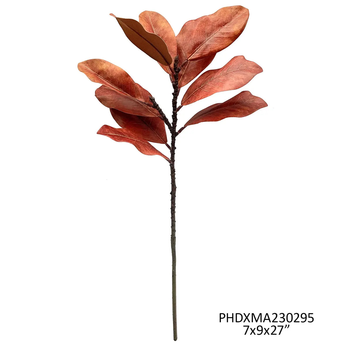 Tige de magnolia paprika
