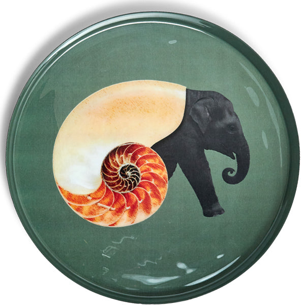 Plateaux rond - Gangzaï