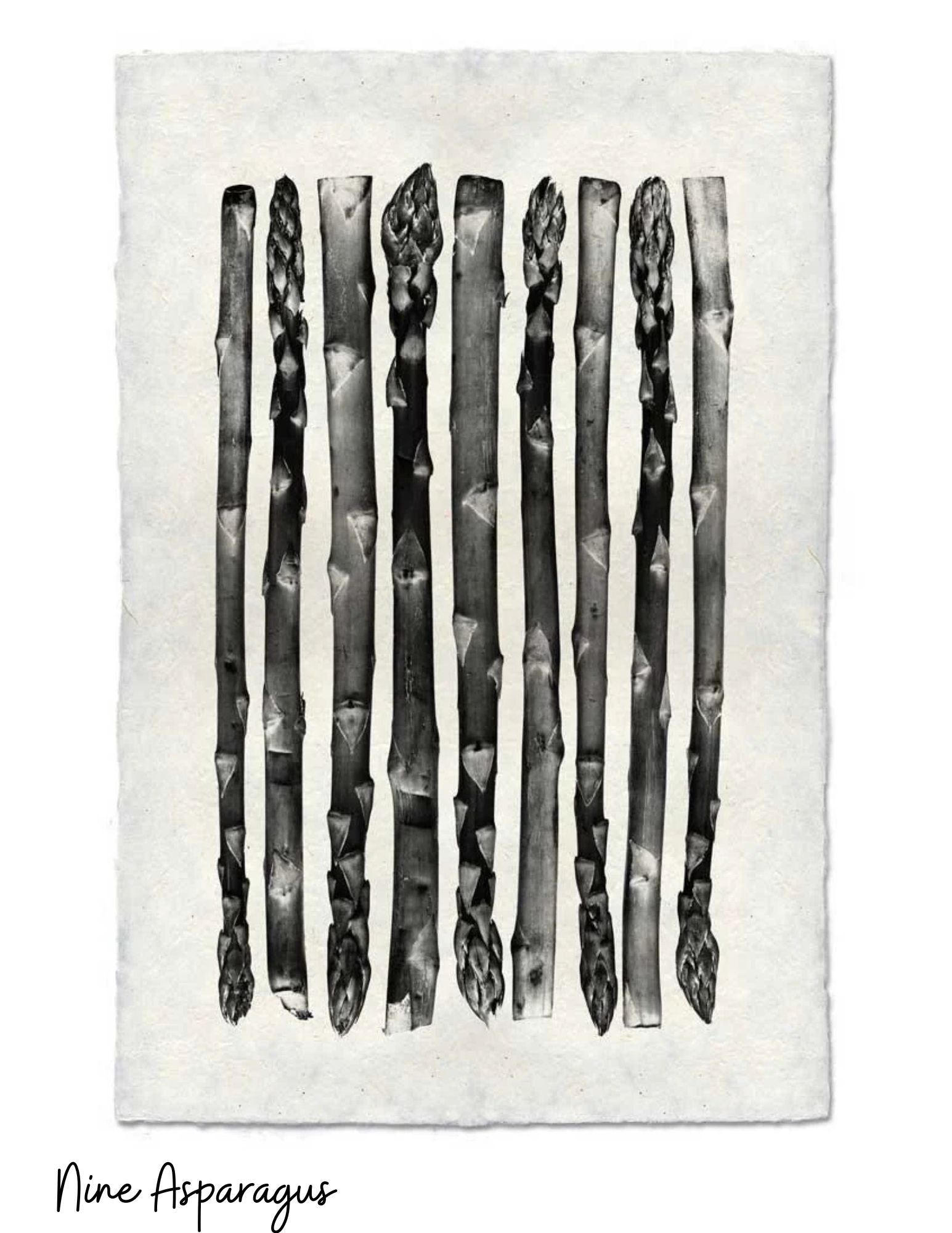 Sérigraphies Barloga 20" x 30"